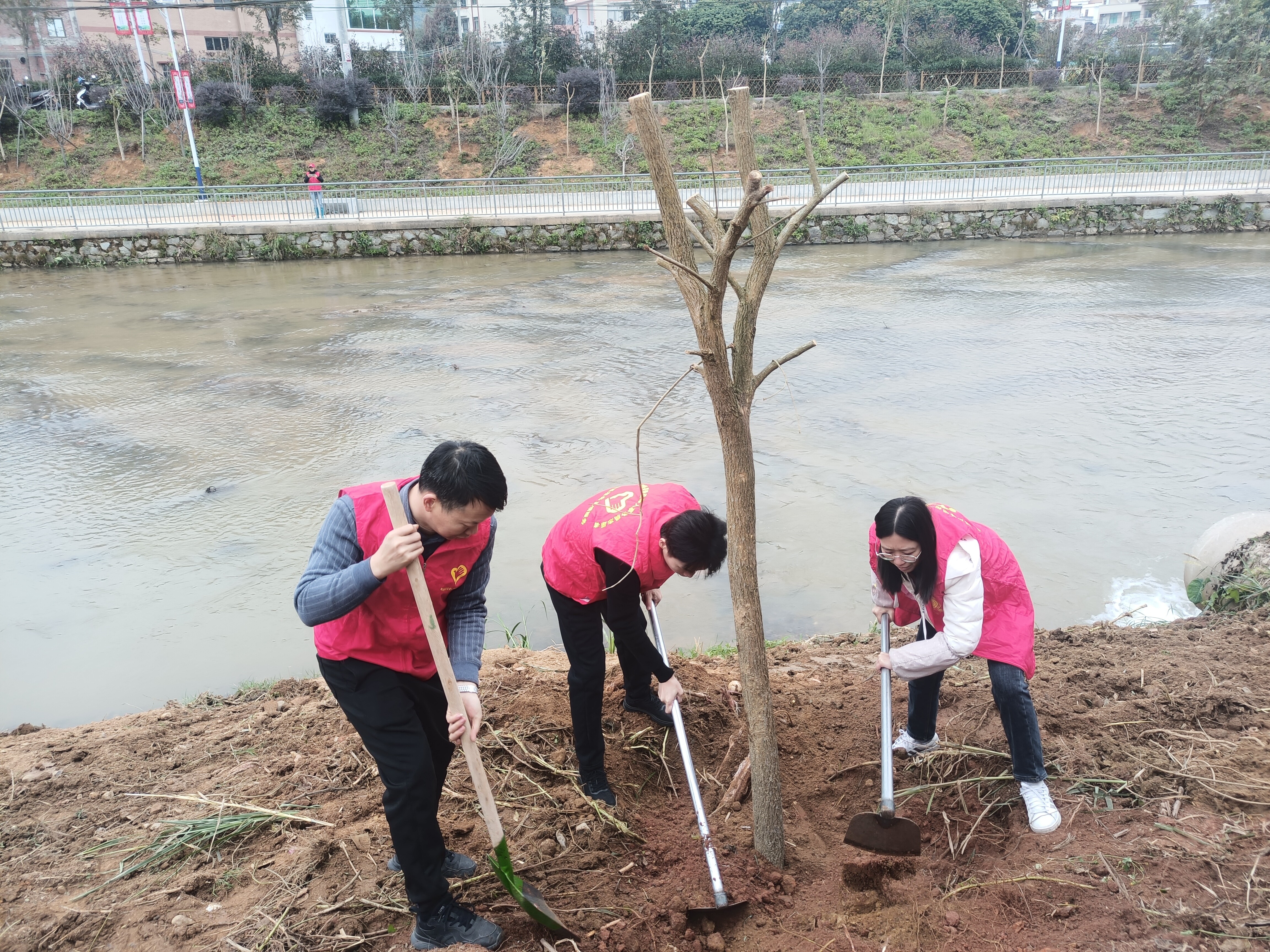 1.25 助力綠美廣東生態(tài)建設(shè)，郁南縣退役軍人事務(wù)局開(kāi)展義務(wù)植樹(shù)活動(dòng).doc_2