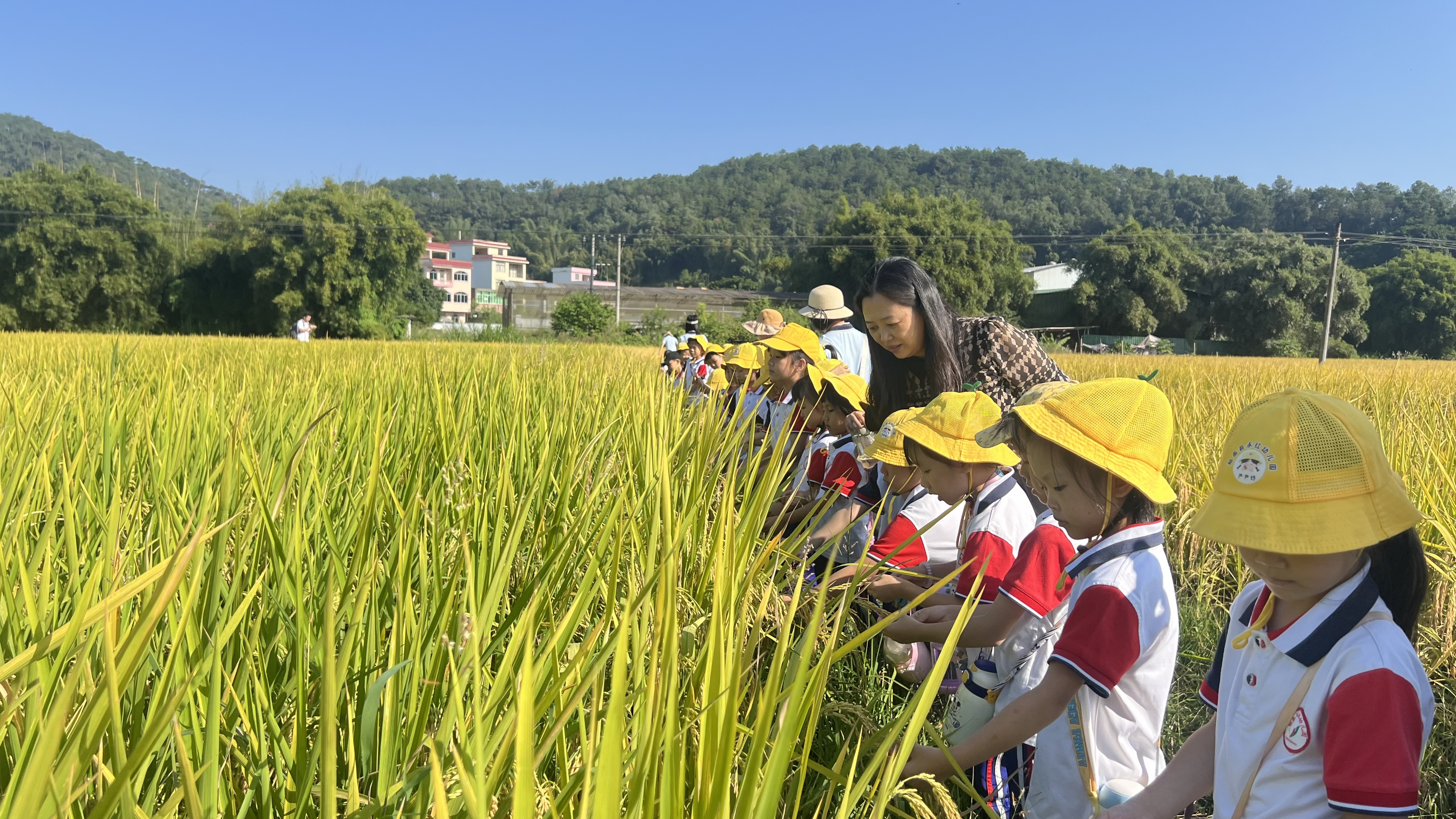 郁南縣永紅幼兒園開展2024年走進農村生活體驗活動1.jpg