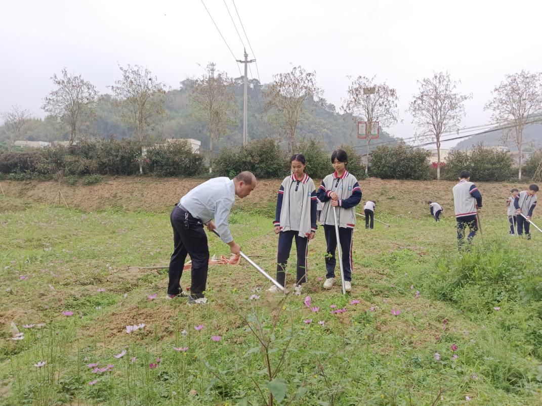 桂圩鎮(zhèn)初級中學(xué)學(xué)子赴桂圩龍崗村勞動教育基地開展農(nóng)耕實踐活動2.png