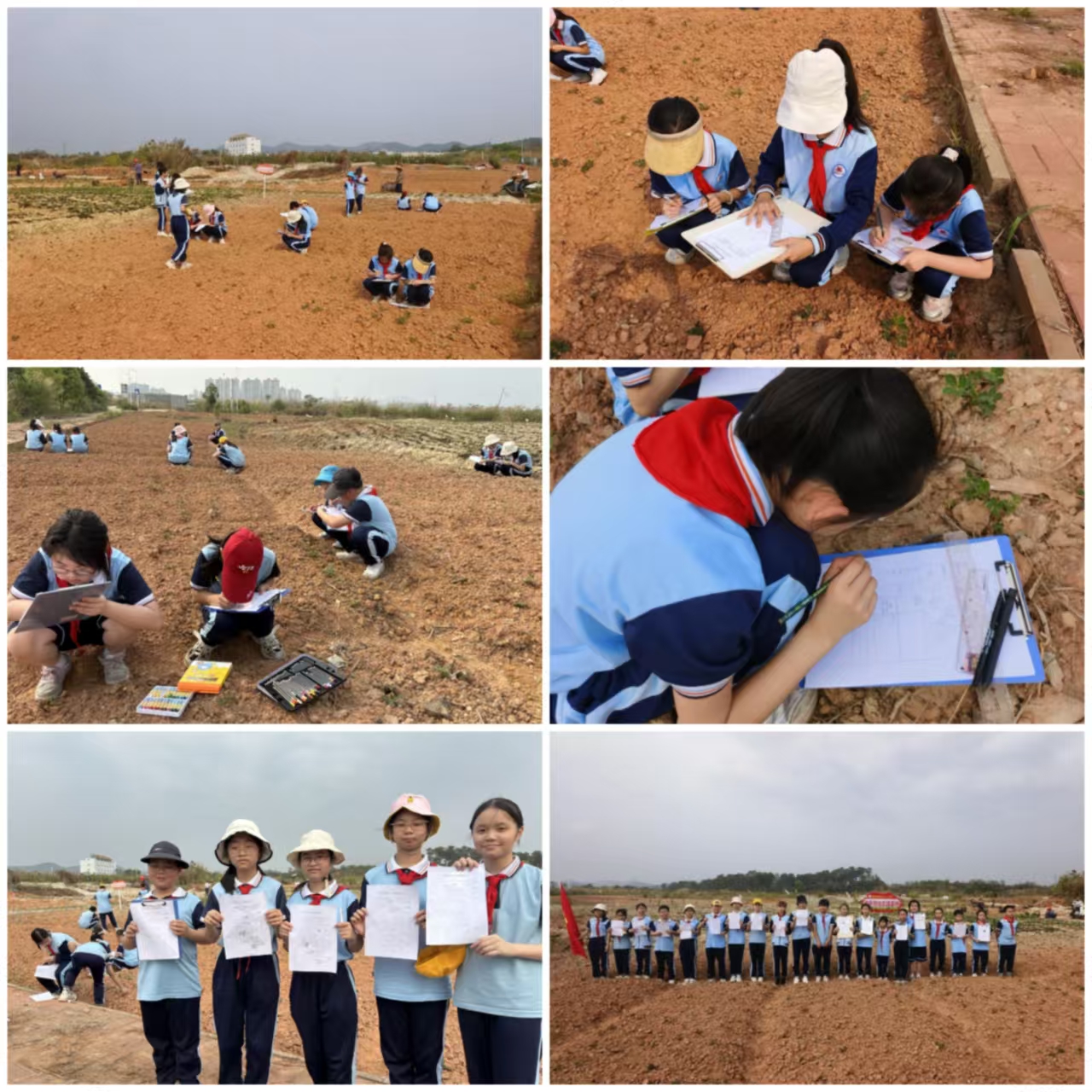 田間課堂育新苗 勞動(dòng)實(shí)踐促成長——都城鎮(zhèn)中心小學(xué)開展“農(nóng)作物生長探秘”勞動(dòng)實(shí)踐項(xiàng)目式學(xué)習(xí)活動(dòng)2.jpg