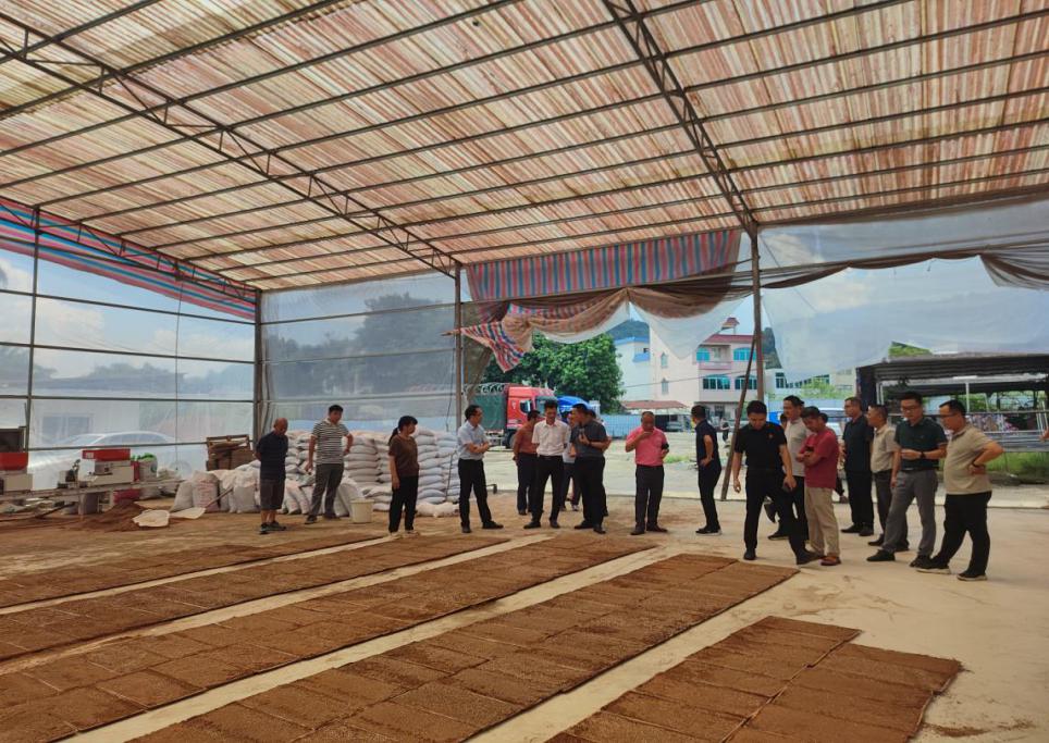 云浮市供銷社“供銷農(nóng)場”產(chǎn)銷對接活動(dòng)在郁南舉辦.docx_1