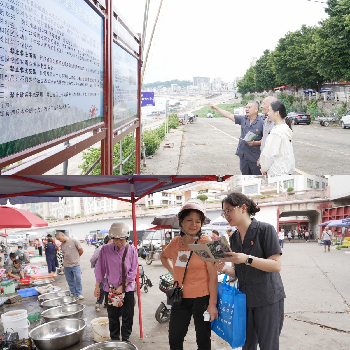 8.15生態(tài)環(huán)境保護(hù)新聞稿.docx_2