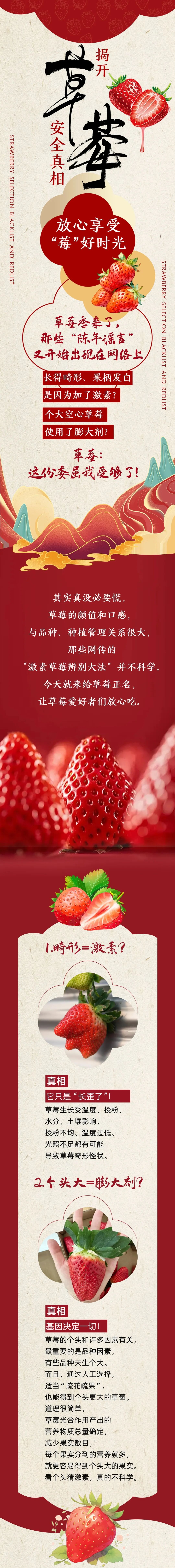 附件：原圖（一圖讀懂關(guān)于草莓的真相，你不放心的一次講清）.jpg